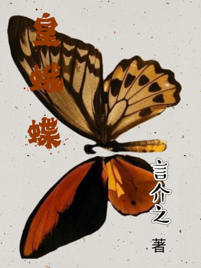 皇蛾蝶的图片